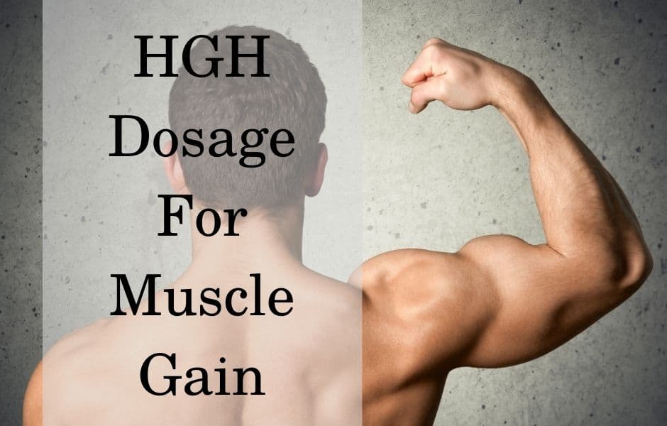 HGH dosage for muscle gain