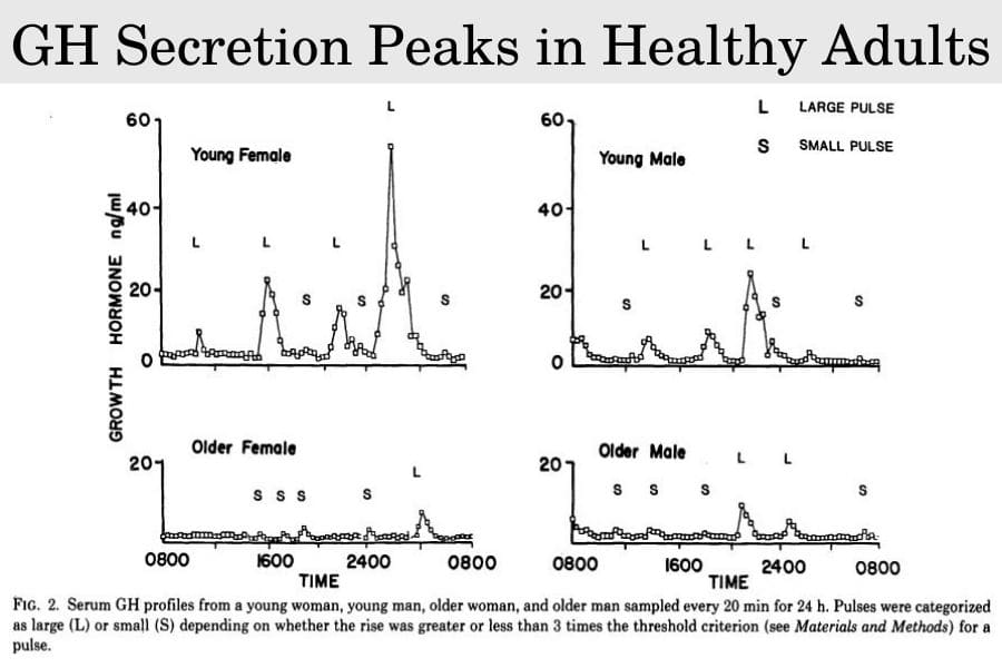 GH secretion peaks in healthy adults