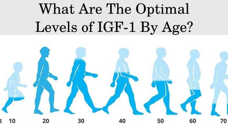 What Are The Optimal Levels of IGF-1 By Age?