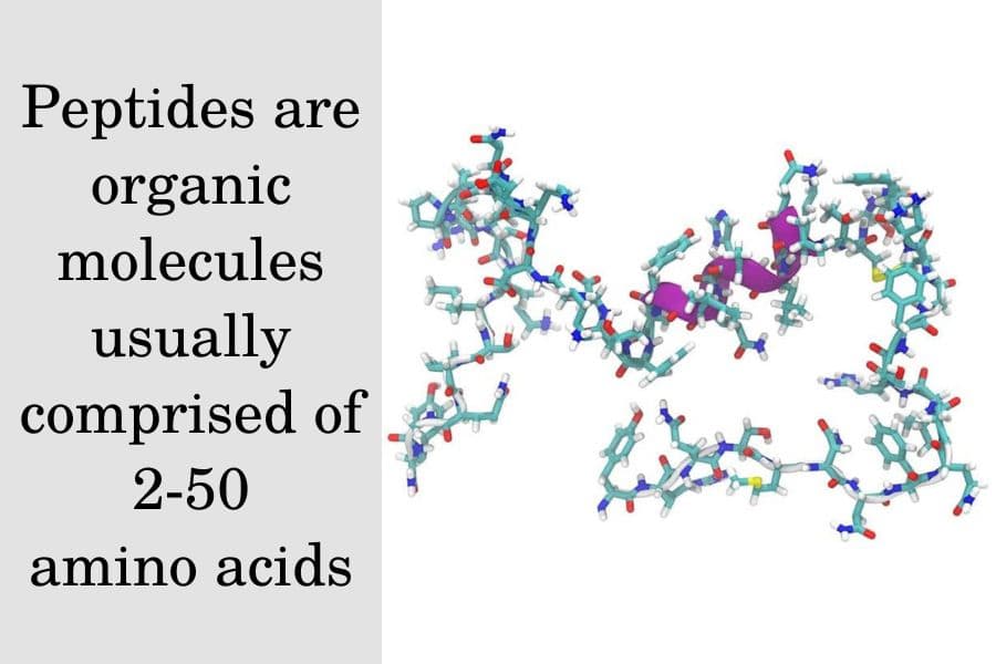 Peptides are organic molecules usually comprised of 2-50 amino acids